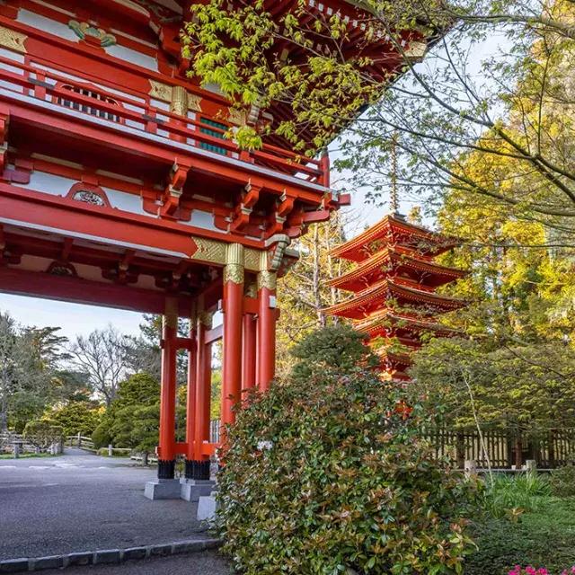 日本庭园寺院